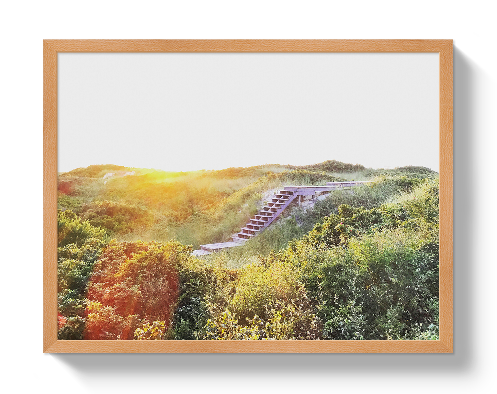 Nantucket Magic