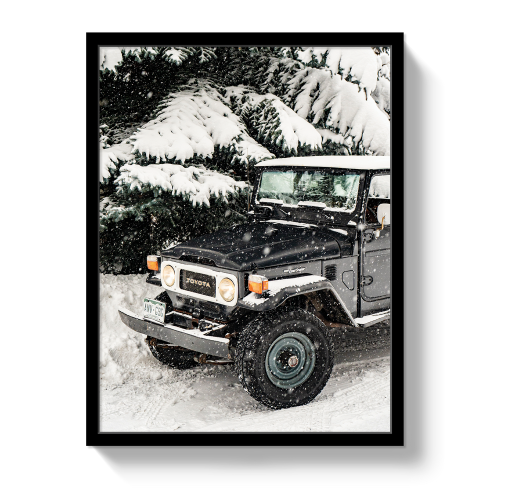 Snowy FJ