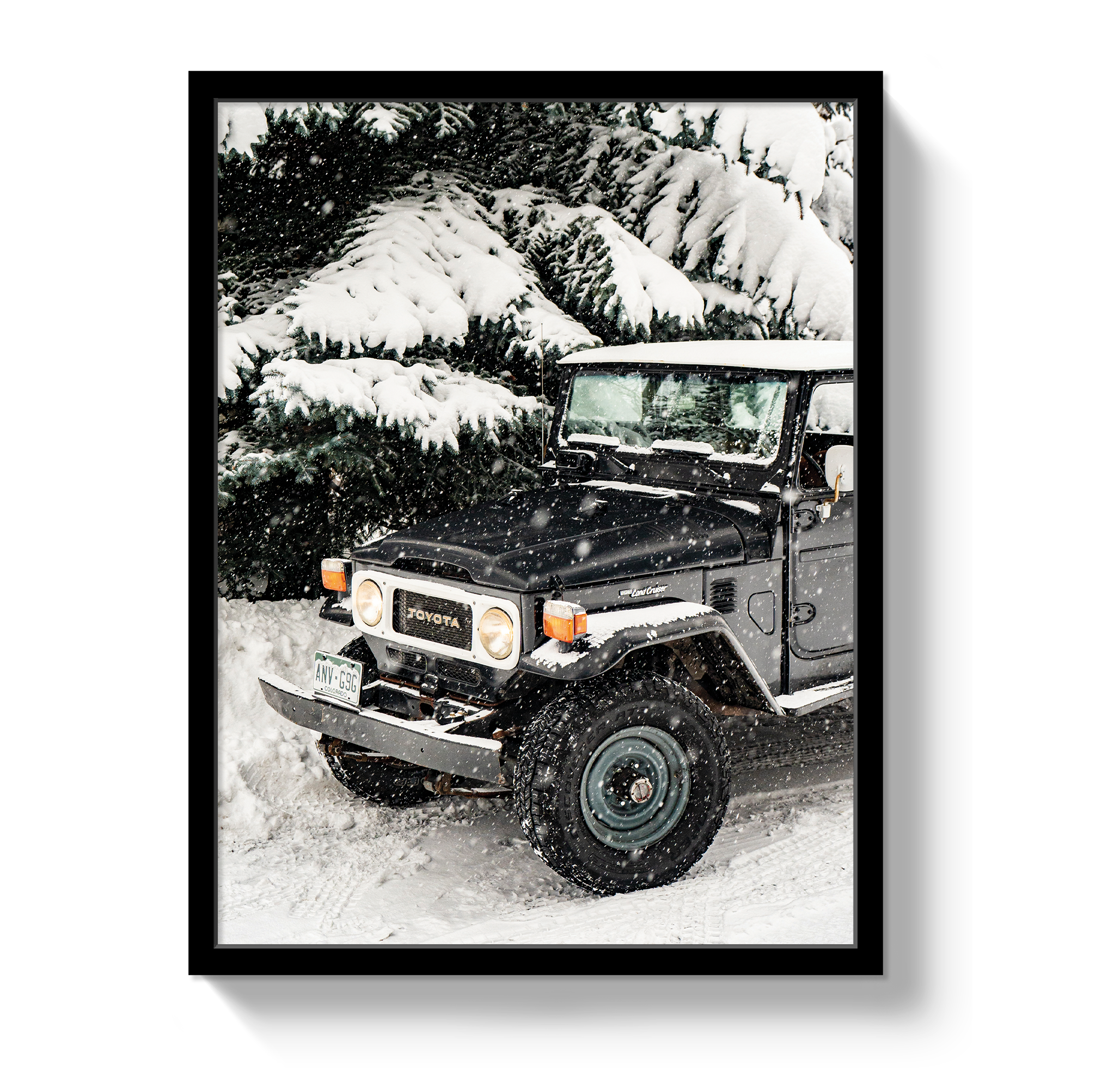 Snowy FJ