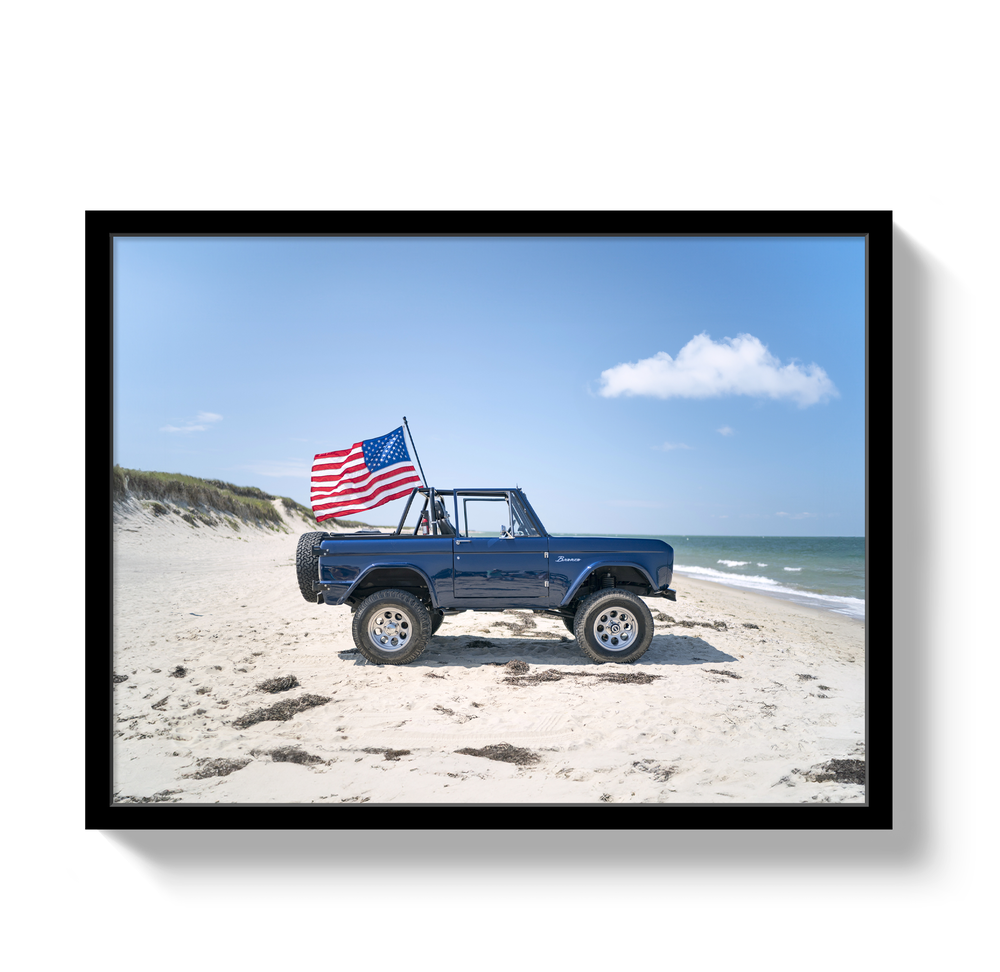 American Bronco