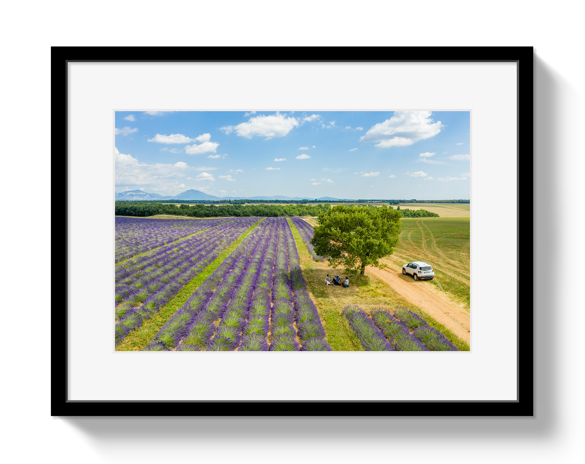 Provence Picnic