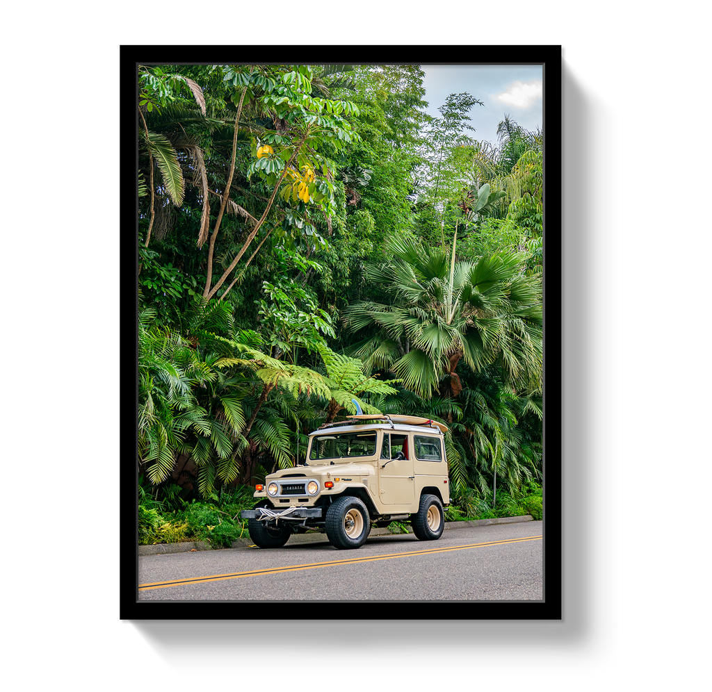 Tropical FJ 2