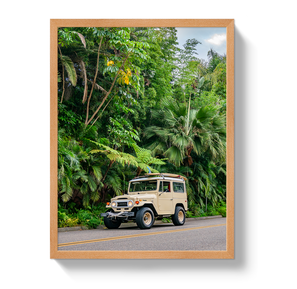 Tropical FJ 2