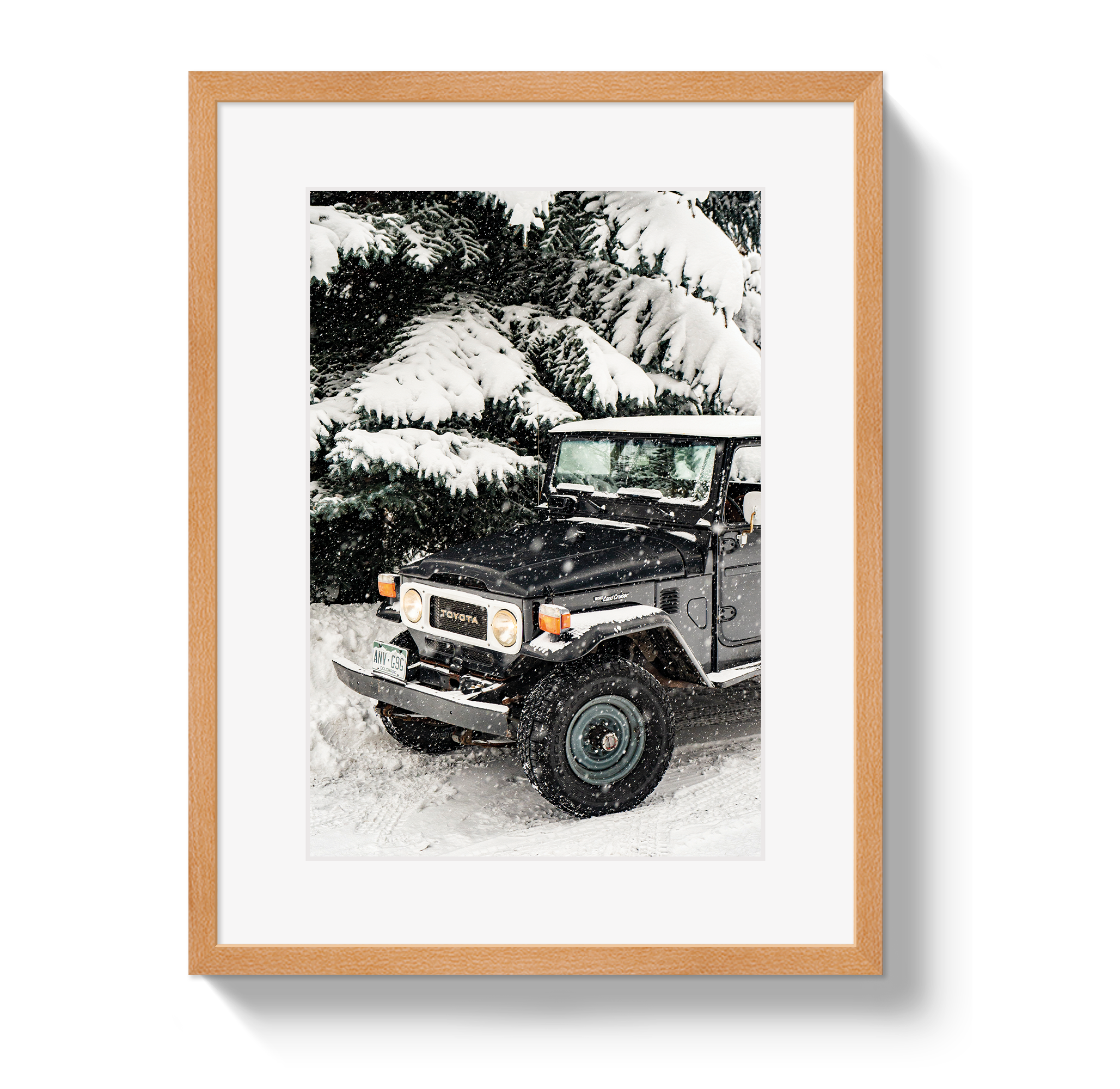 Snowy FJ