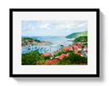 St Barths Harbor