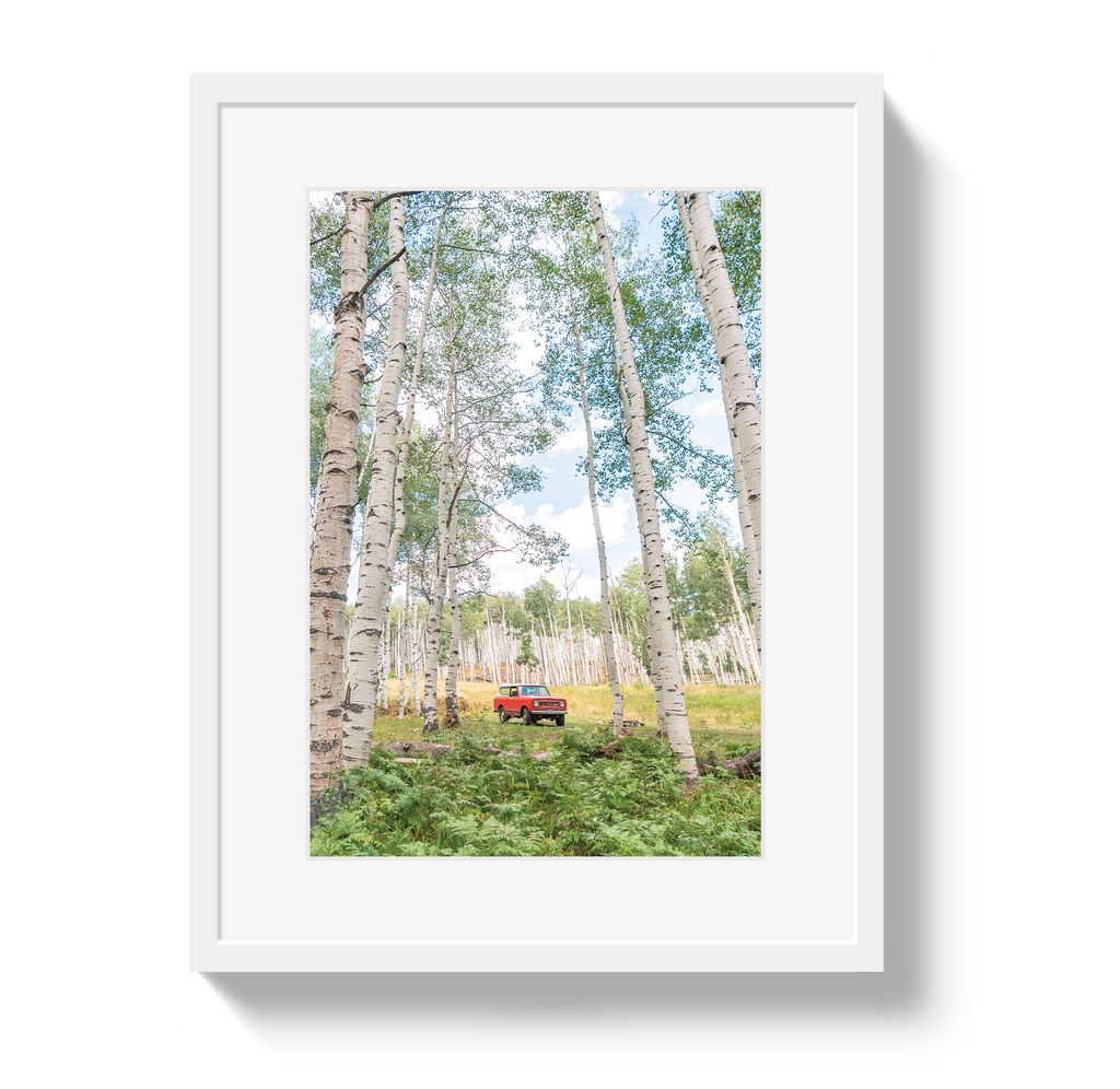 Aspen Scout