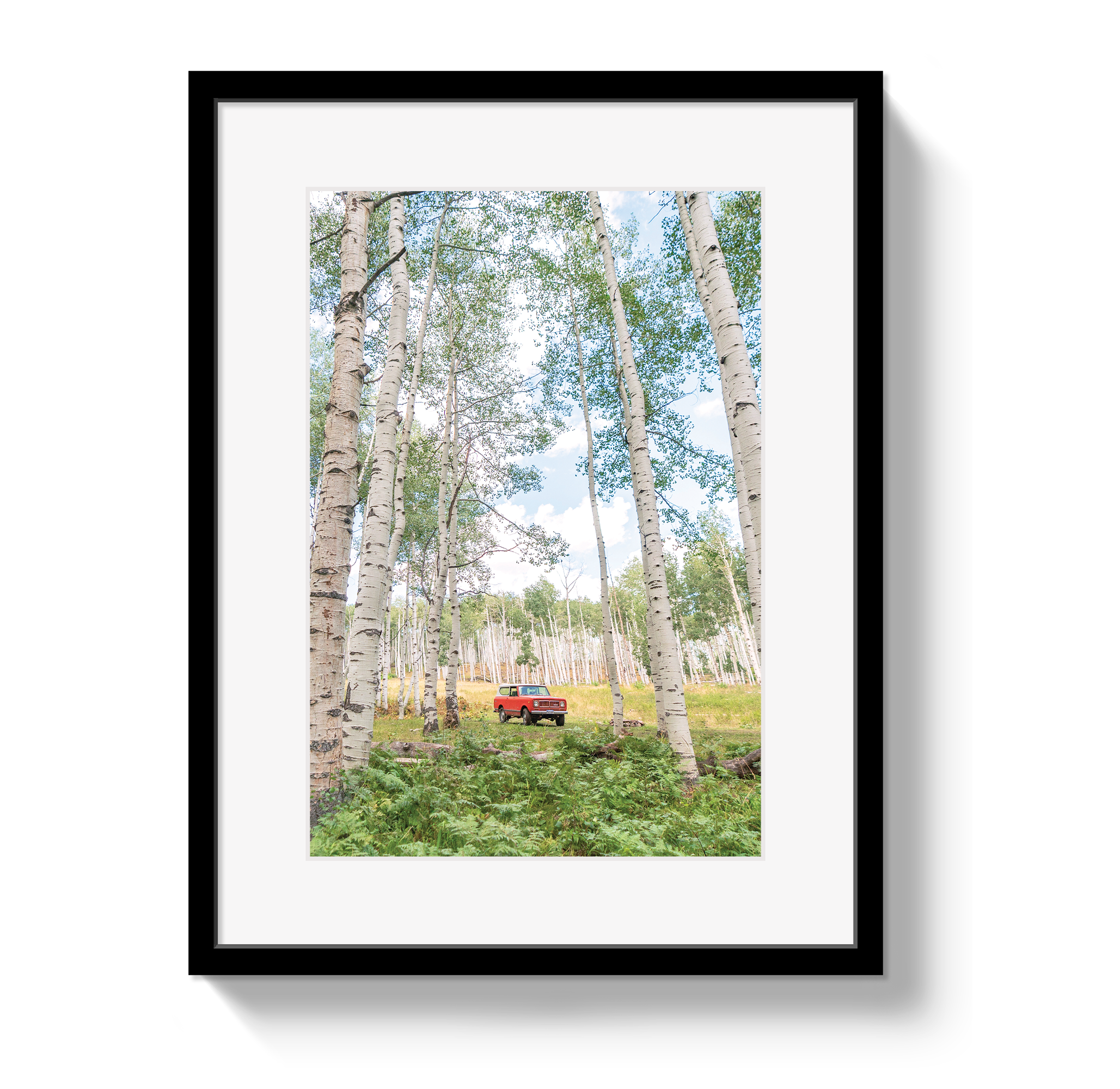 Aspen Scout
