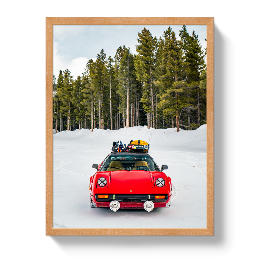 Ski Racer
