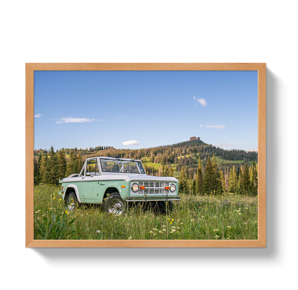 Bronco View 2