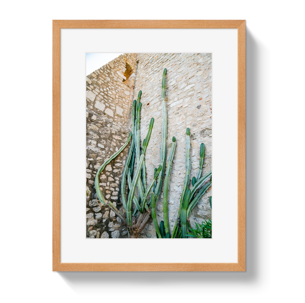 Cactus Capri