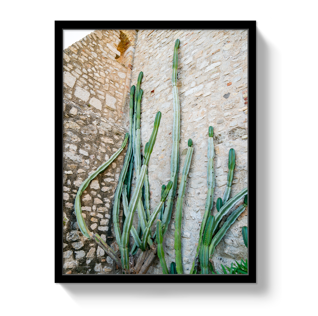 Cactus Capri