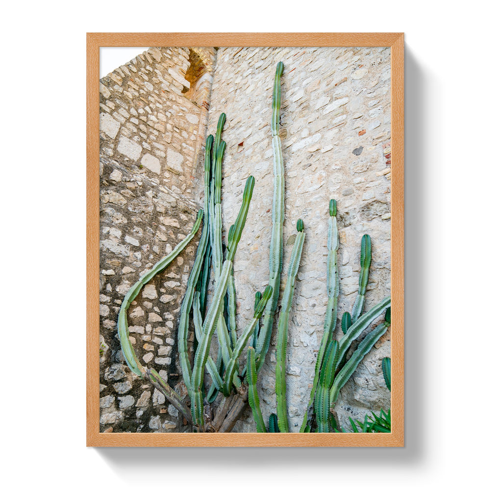 Cactus Capri
