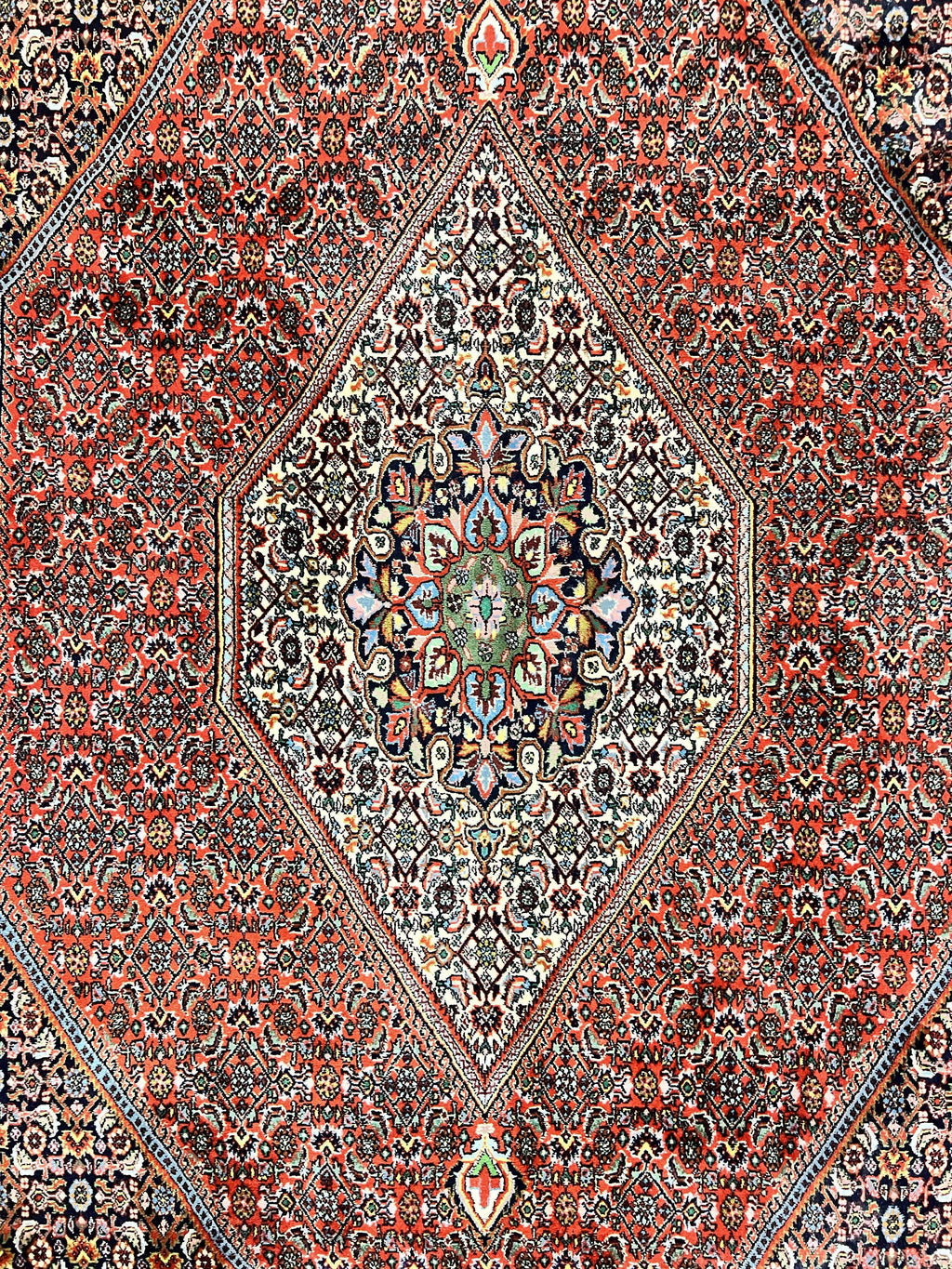 Persian Bidjar Rug 5x10, Wool Hand Knotted Vintage Carpet, Highly Detailed, Mahi Herati Pattern, 5 x 10 Oriental Rug