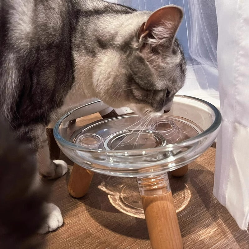 Not Easy To Knock Over Pet Bowl For Cervical Protection