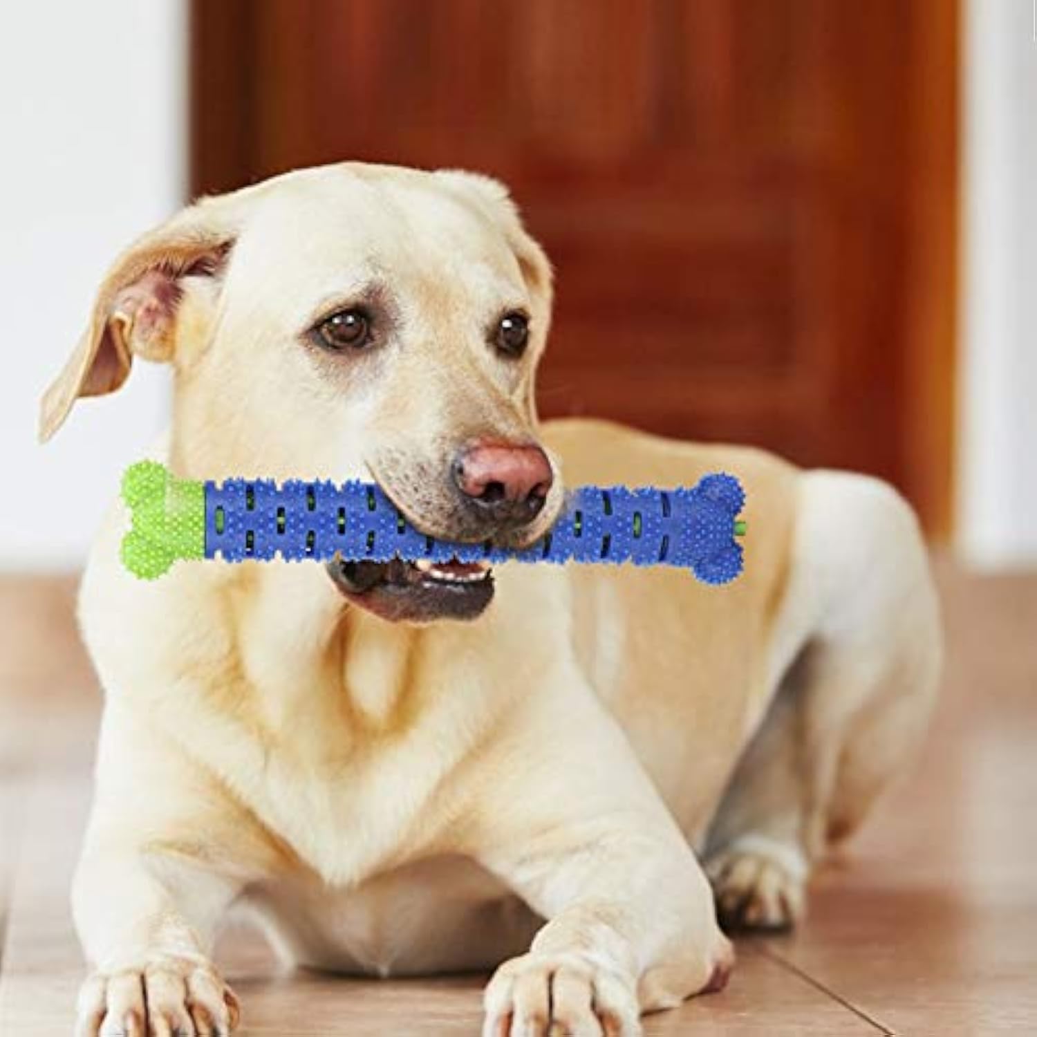 Blue Green Pet Molar Tooth Cleaner Brushing Stick Cleaning Supplies Toothbrush Toys For DogsDog Cleaning