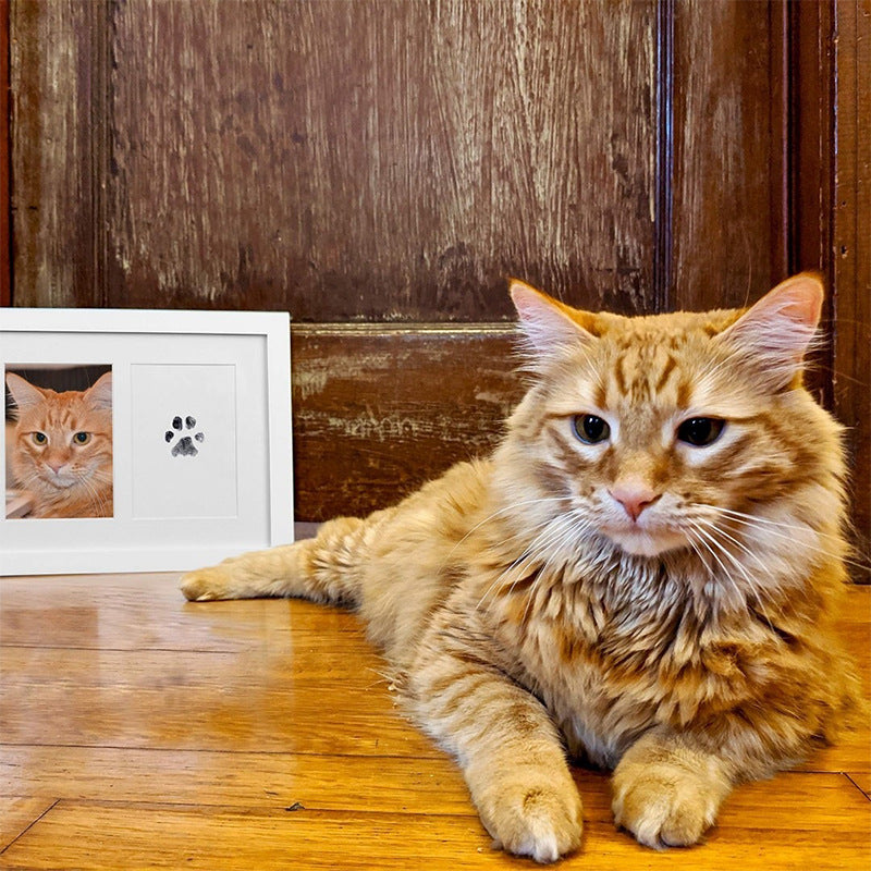 Commemorative Photo Album For Children And Pets Fingerprint Rubbing Postcard DIY Pet Supplies