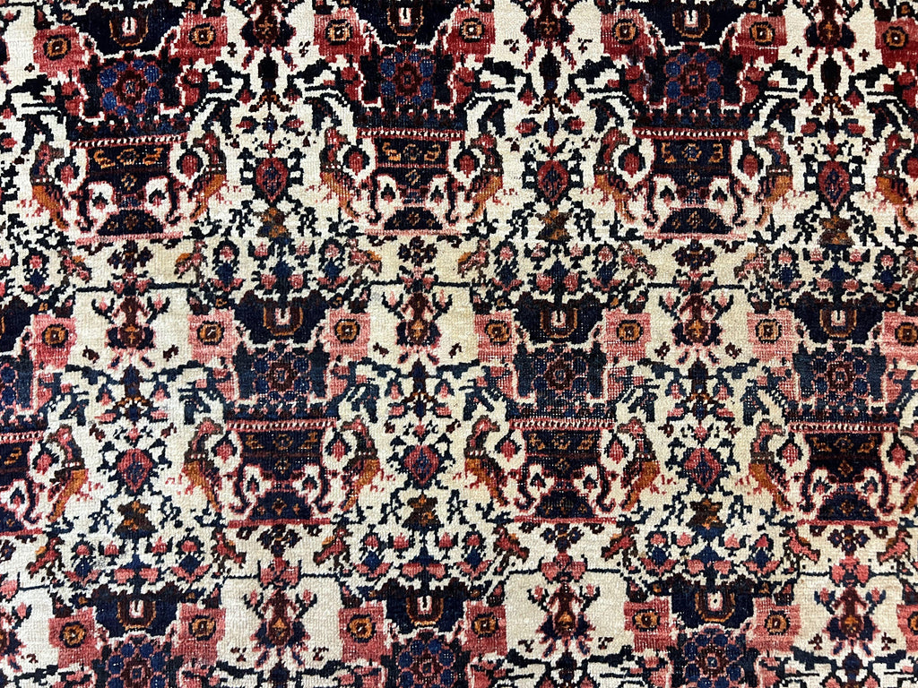 Persian Afshar Rug 6x8, Wool Hand Knotted Semi Antique Vintage Carpet, Floral Allover, Repeated Birds Flowers Vases Motifs