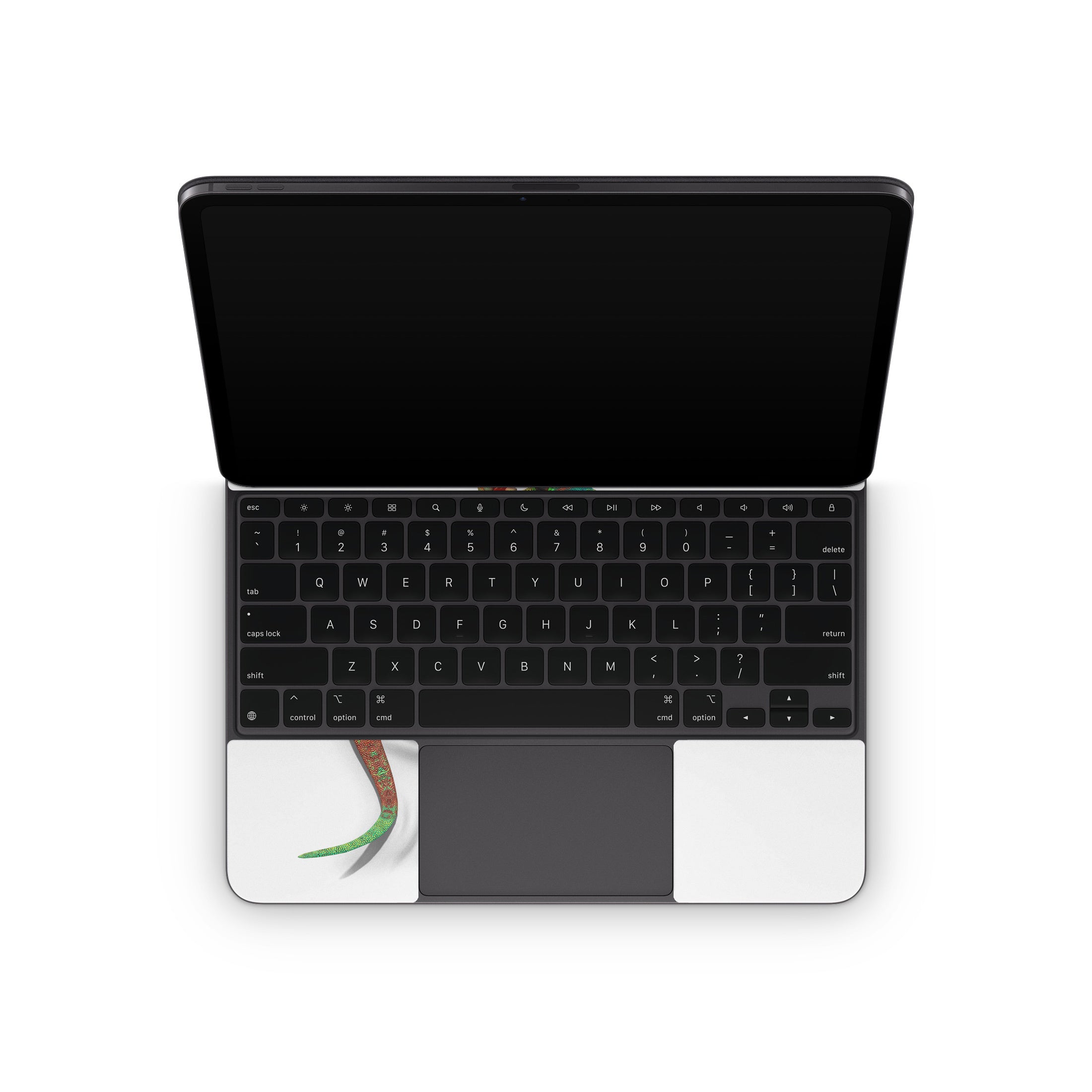 Gecko - Apple Magic Keyboard for iPad Skin