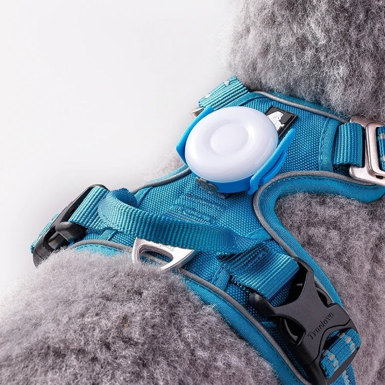 LED Lights Prevent Getting Lost And Emit When Walking A Dog At Night