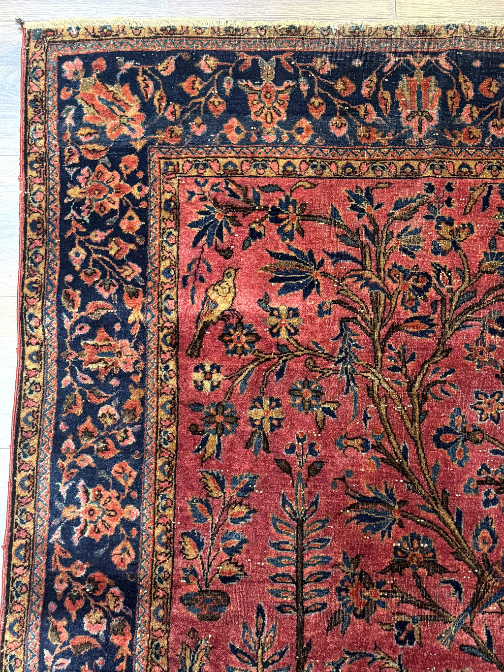 Antique Persian Tree of Life Rug 3x5, Manchester Wool, Bird Pictorials, Fine 240 KPSI, Red Navy Blue