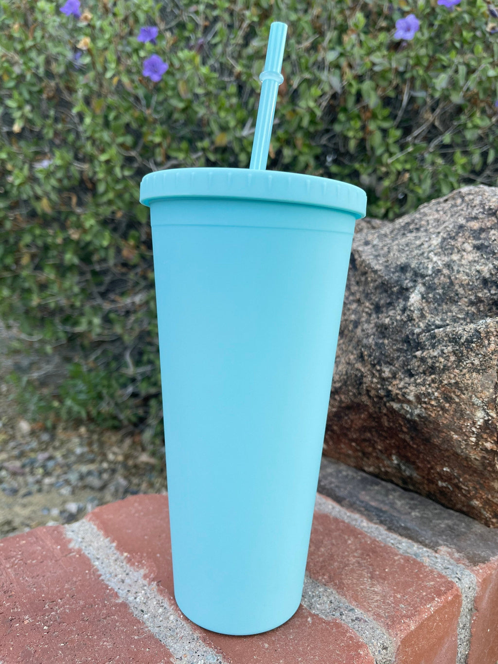 Pastel Cup Blank Cups Tumblers, 24 oz Matte Tumblers, Double Wall Acrylic Tumbler With Straw and Screw Lid BPA Free