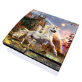 Evening Star - Sony PS3 Slim Skin