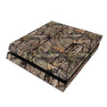 Break-Up Country - Sony PS4 Skin