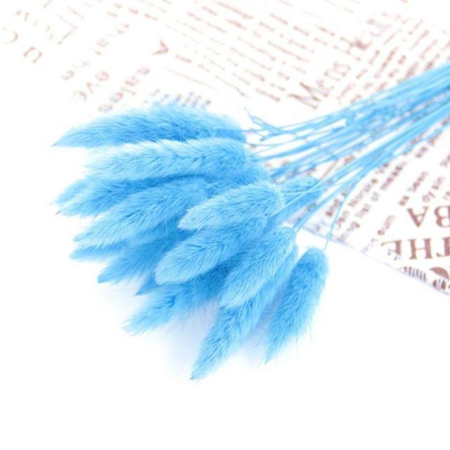 Real Dried Grass Reed Flower Natural Dry Small Bulrush Bouquet Pampas Reeds Home Decoration Wedding Decor Pompass Grass Branches for Vase Artificial Grass Room Décor Wedding Decorations