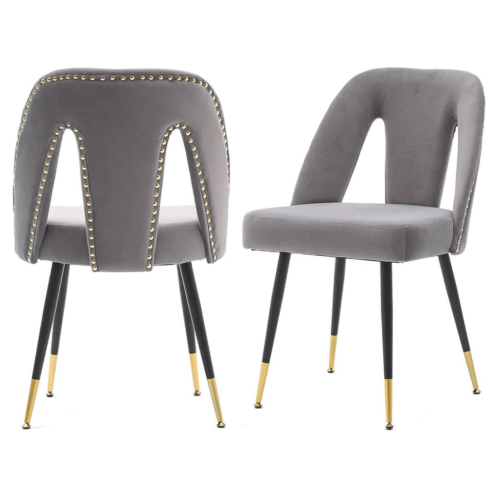 Set of 2: Modern Dining Chairs