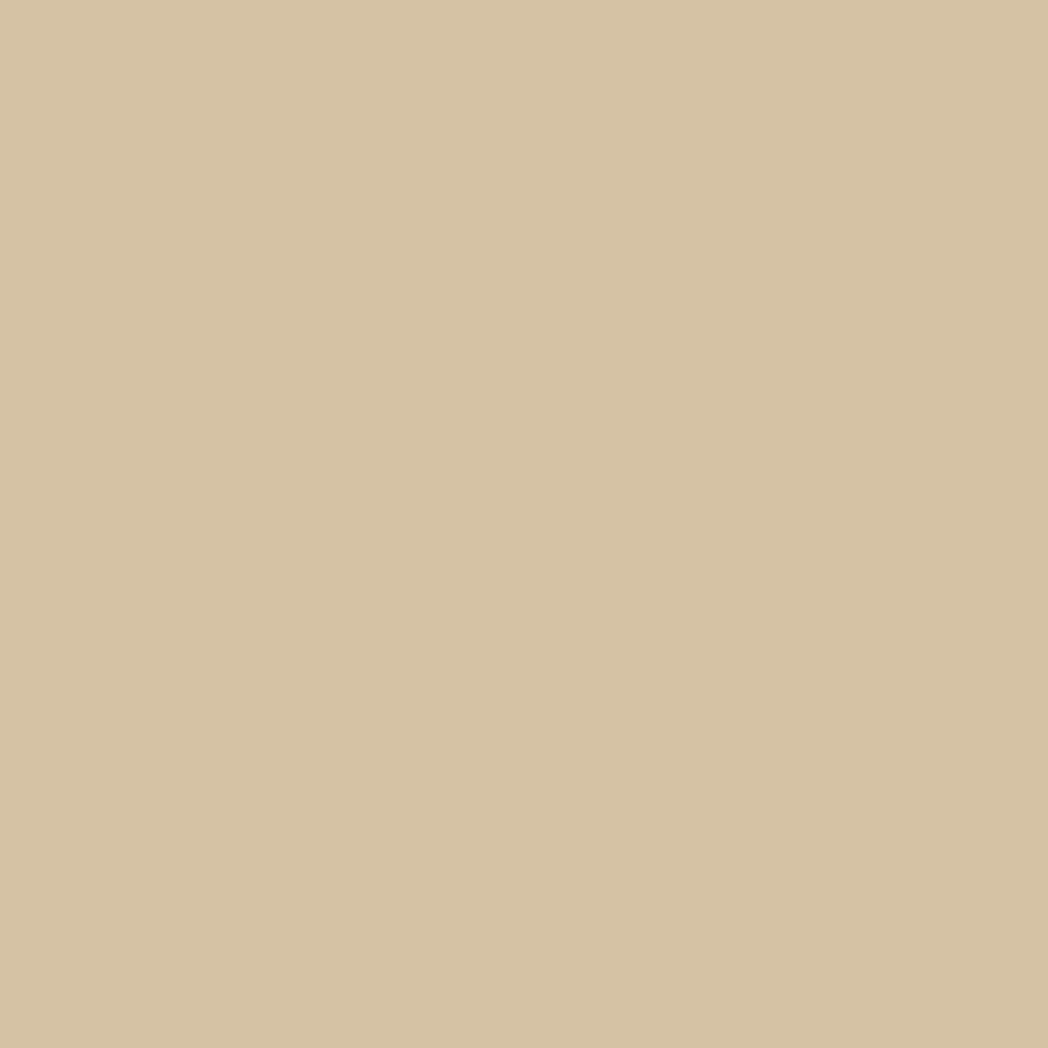 Solid State Beige - DJI Mini 2 Skin